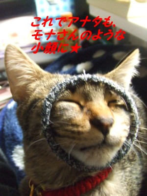 DSCF0967