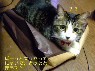 ¤Á¤ç¤Ã¤È¡¼