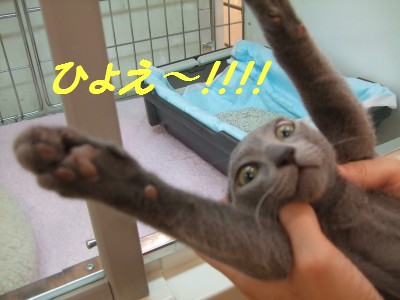 DSCF0481