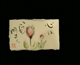 ����棱
