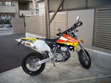 Makita Suzuki 合成