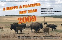 年賀状バッファロー