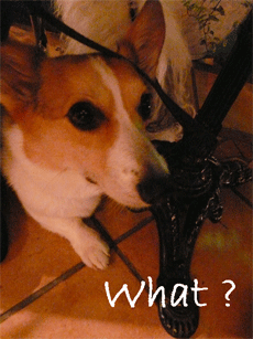 What ?