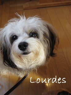 Lourdes