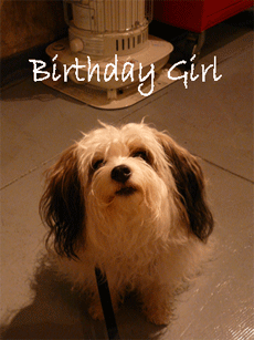 birthdaygirl