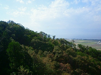 NEC_0019