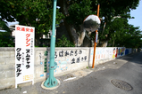 学校