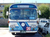 沖縄 バス