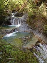 nisizawa04