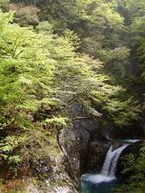 nisizawa01