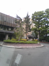 �饰�ӡ�