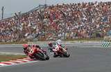 wsb_rd8