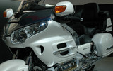GOLDWING_02
