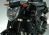 FZ1_02