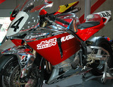 CBR600RR_HAMMAR