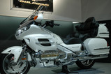 GOLDWING_01