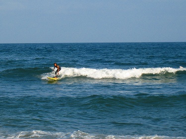 BILLABONG ���ɸС��Ⱦ���