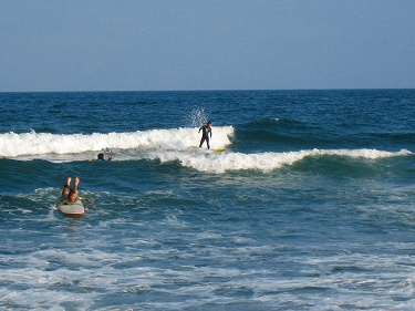 BILLABONG ���ɸС��Ⱦ���