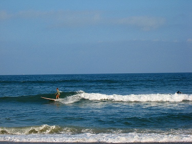 BILLABONG ���ɸС��Ⱦ���