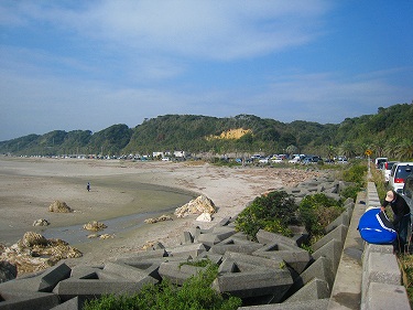 Billabong 波情報 田原市