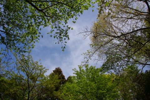 25bd1680.jpg