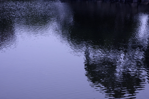 8d985046.jpg
