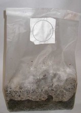 fff32227.JPG