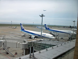 2788778e.jpg