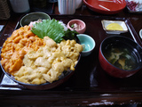 ウニ丼