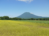 羊蹄山