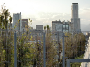 CIMG0027
