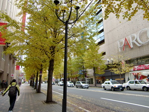 CIMG0040