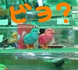 1-16-1
