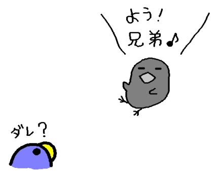 まっくろ