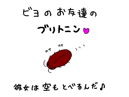 ¥Ö¥ê¥È¥Ë¥ó