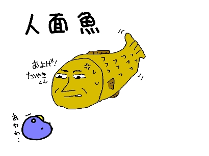 ¿ÍÌ̵û