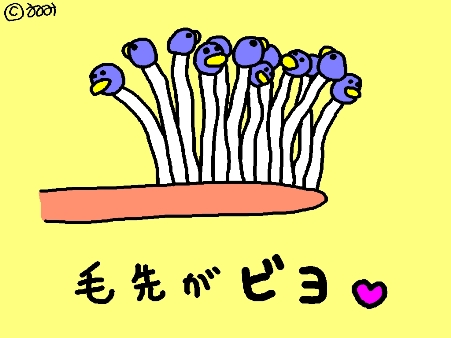 ���褬�ӥ�