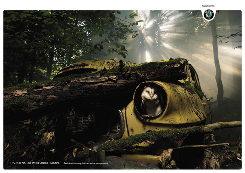 Skoda Auto_Owl_1