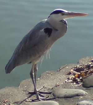 300�ĺ�2