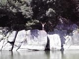 kawa