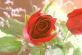 2791ddf6.jpg