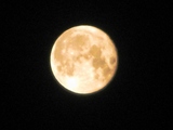 6eca3a61.jpg