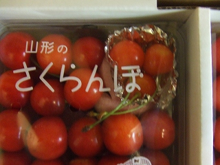 普通の入り