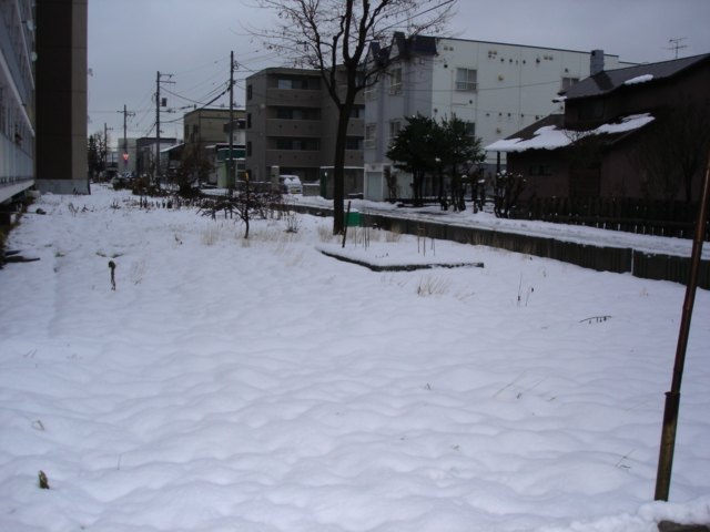 雪2