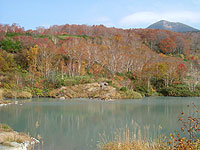 青森紅葉1