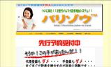 �Х꥾���������ޥ��ɼ��������ӥ�����