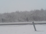 0c095c63.jpg