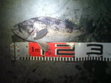 b4841164.jpg
