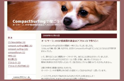 CompactSurfing