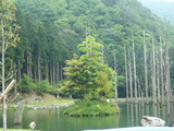 turi2